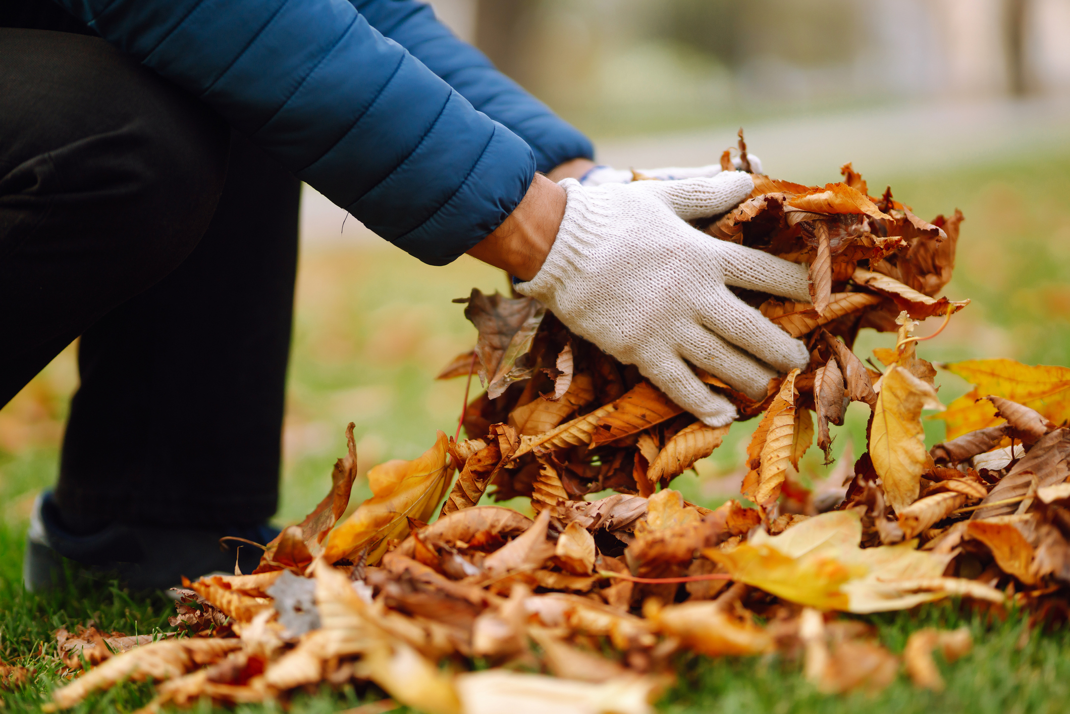 man wearing gloves picking up leaves