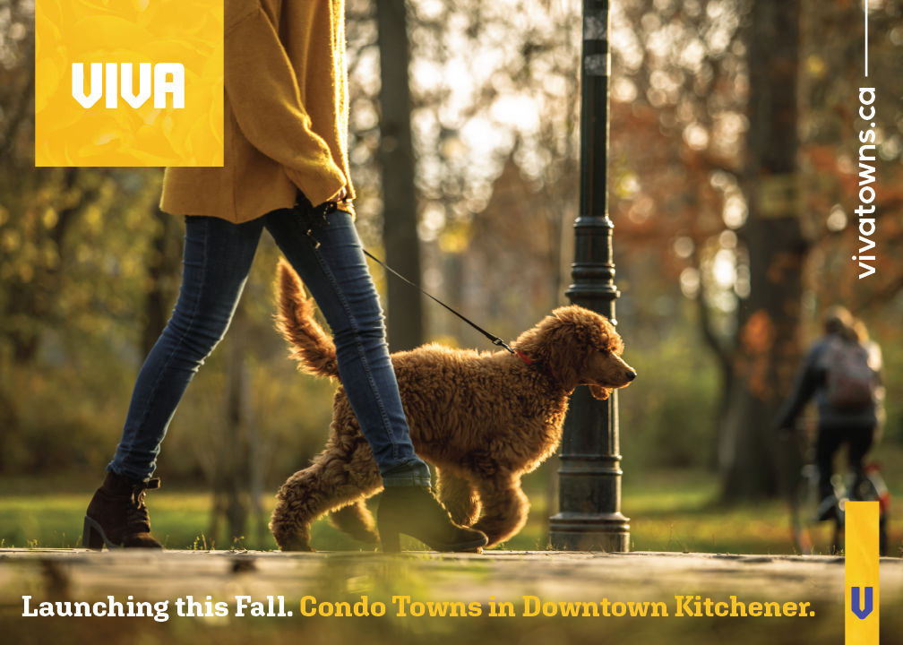 Viva condo towns downtown kitchener. woman walking dog in park.