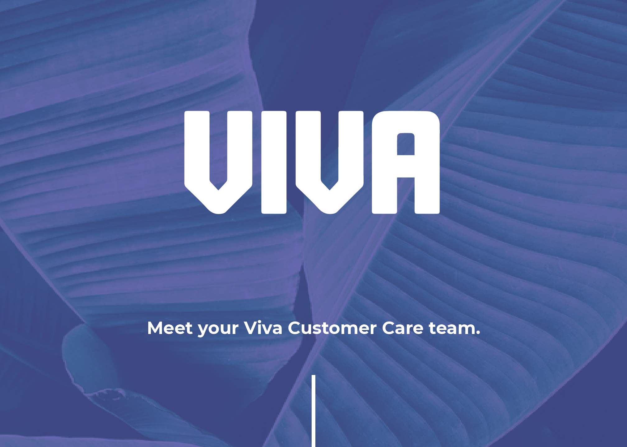 viva meet your customer care team